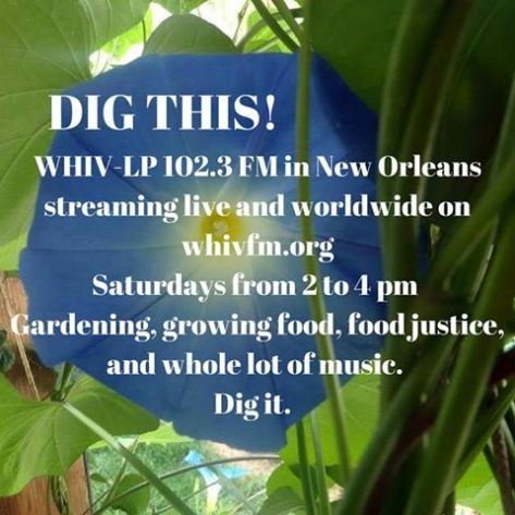 26165458_10211244215520881_4296342214065548905_n